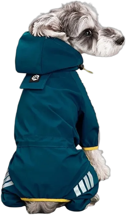 Un petit chien de dos, en combinaison de pluie bleu pétrole avec bandes réfléchissantes sur les pattes.